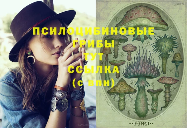 ГАЛЛЮЦИНОГЕННЫЕ ГРИБЫ Алексеевка